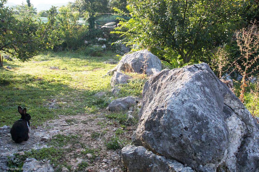 Agrotourism Matusko Hostal Neum Exterior foto